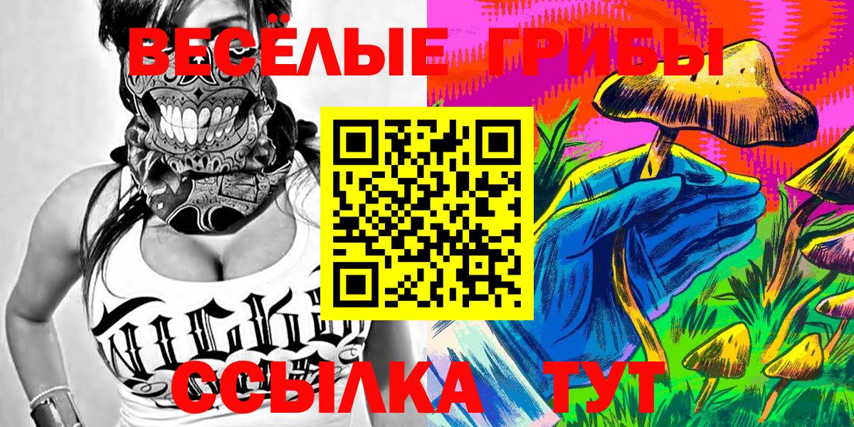 Галлюциногенные грибы Psilocybe Черкесск
