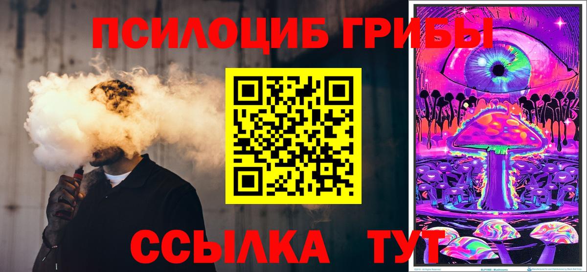 Галлюциногенные грибы Psilocybine cubensis  Вход с VPN  Черкесск  Галлюциногенные грибы прущие грибы 